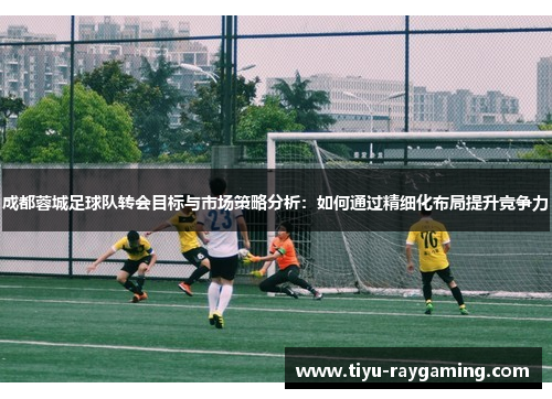 成都蓉城足球队转会目标与市场策略分析：如何通过精细化布局提升竞争力