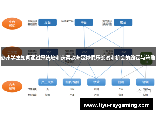 彭州学生如何通过系统培训获得欧洲足球俱乐部试训机会的路径与策略