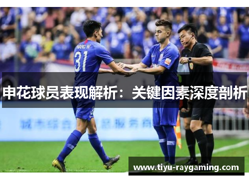 申花球员表现解析：关键因素深度剖析