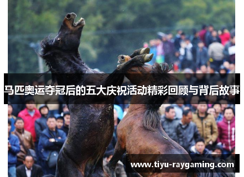马匹奥运夺冠后的五大庆祝活动精彩回顾与背后故事