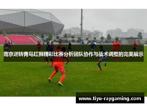 南京逆转青岛红狮精彩比赛分析团队协作与战术调整的完美展示