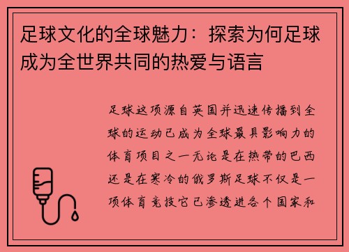 足球文化的全球魅力：探索为何足球成为全世界共同的热爱与语言