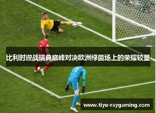 比利时迎战瑞典巅峰对决欧洲绿茵场上的荣耀较量