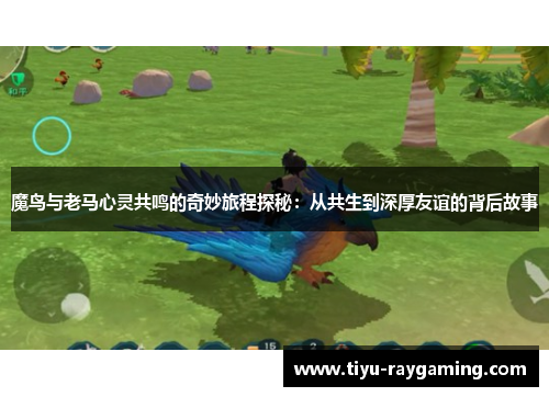 魔鸟与老马心灵共鸣的奇妙旅程探秘：从共生到深厚友谊的背后故事